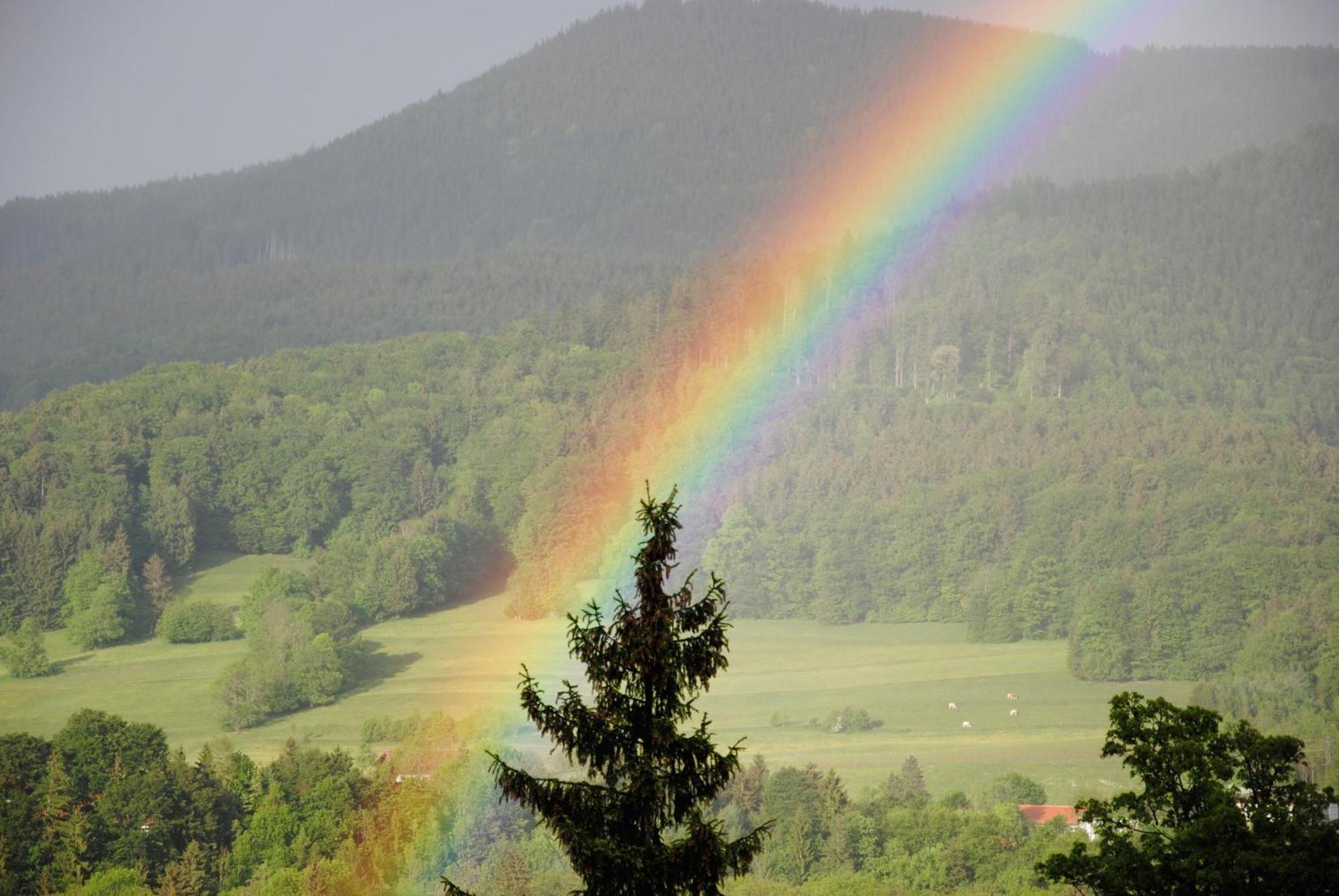 Gaestehaus Schroeder Ruhpolding Buitenkant foto